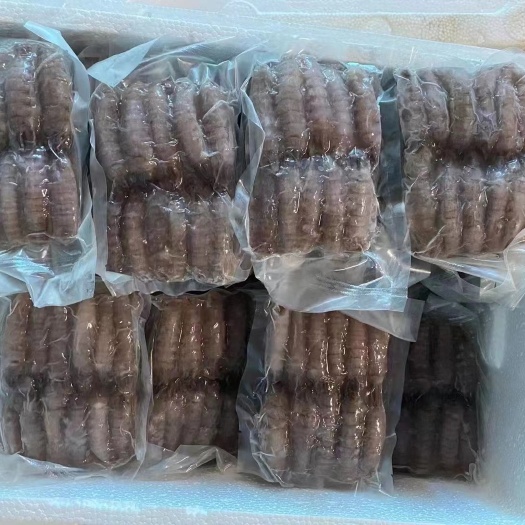 乳山市熟冻活虾皮皮虾肉厂家大量供应可整吨出货