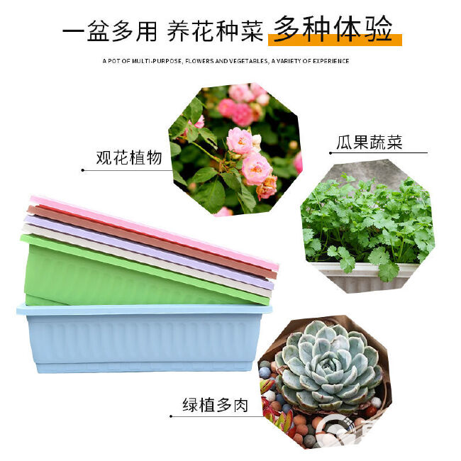 整件批阳台种菜盆蔬菜种植箱家庭家用长方形花盆塑料花盆大号