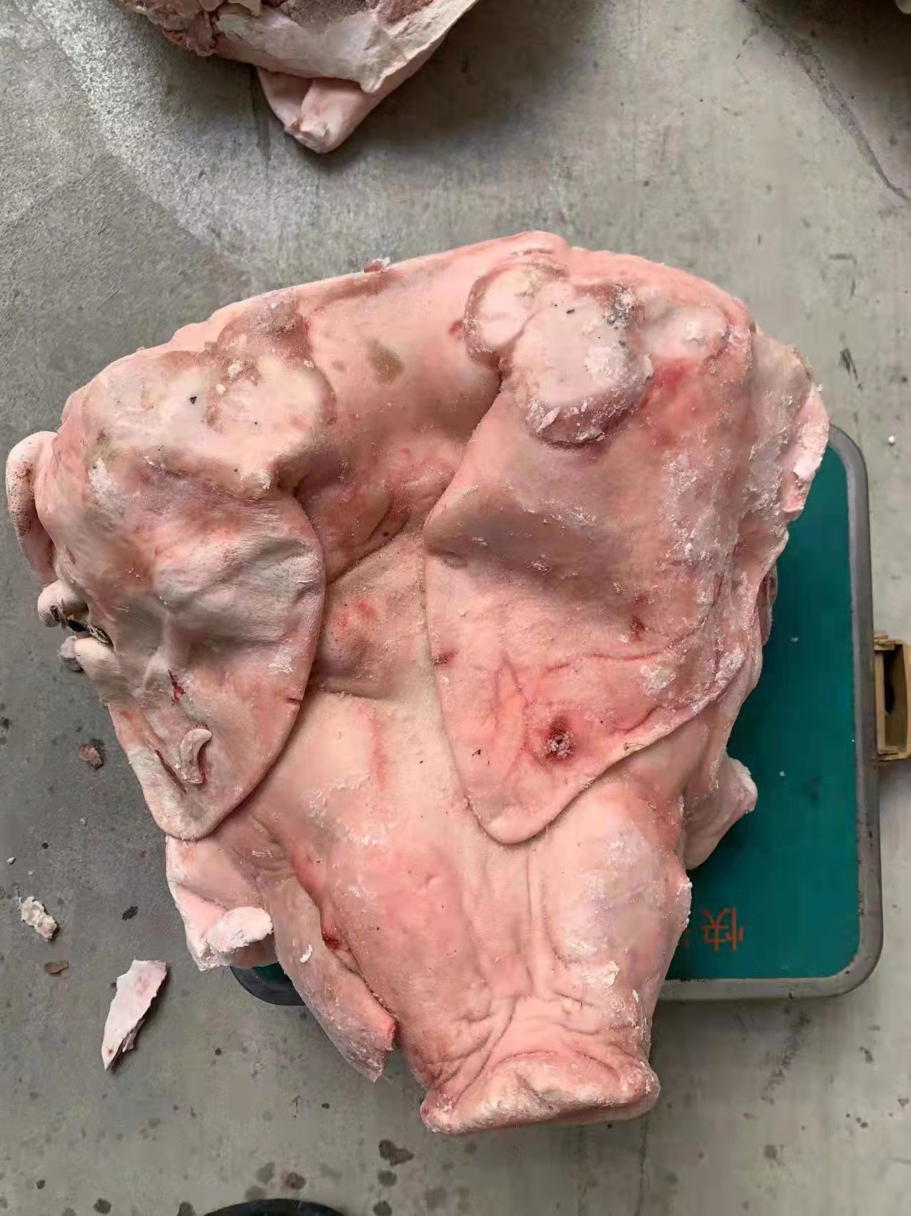 猪头 带耳一级头