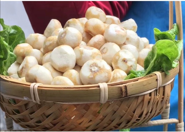 干菜珍珠马蹄干，口感香糯弹牙，可烧烤，火锅，爆炒，串串