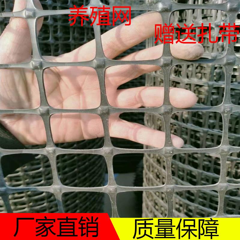 土工格栅塑料平网养殖网围栏网户外围网养鸡网隔离网防护网护栏