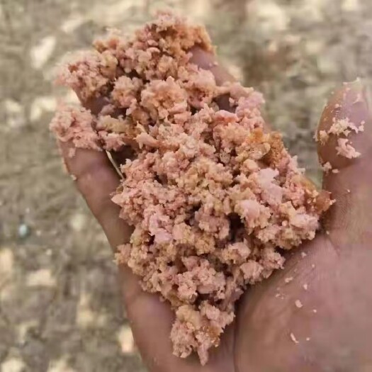 正定县大厂家纯肉火腿碎，高脂肪，家禽家畜好喂养饲料！
