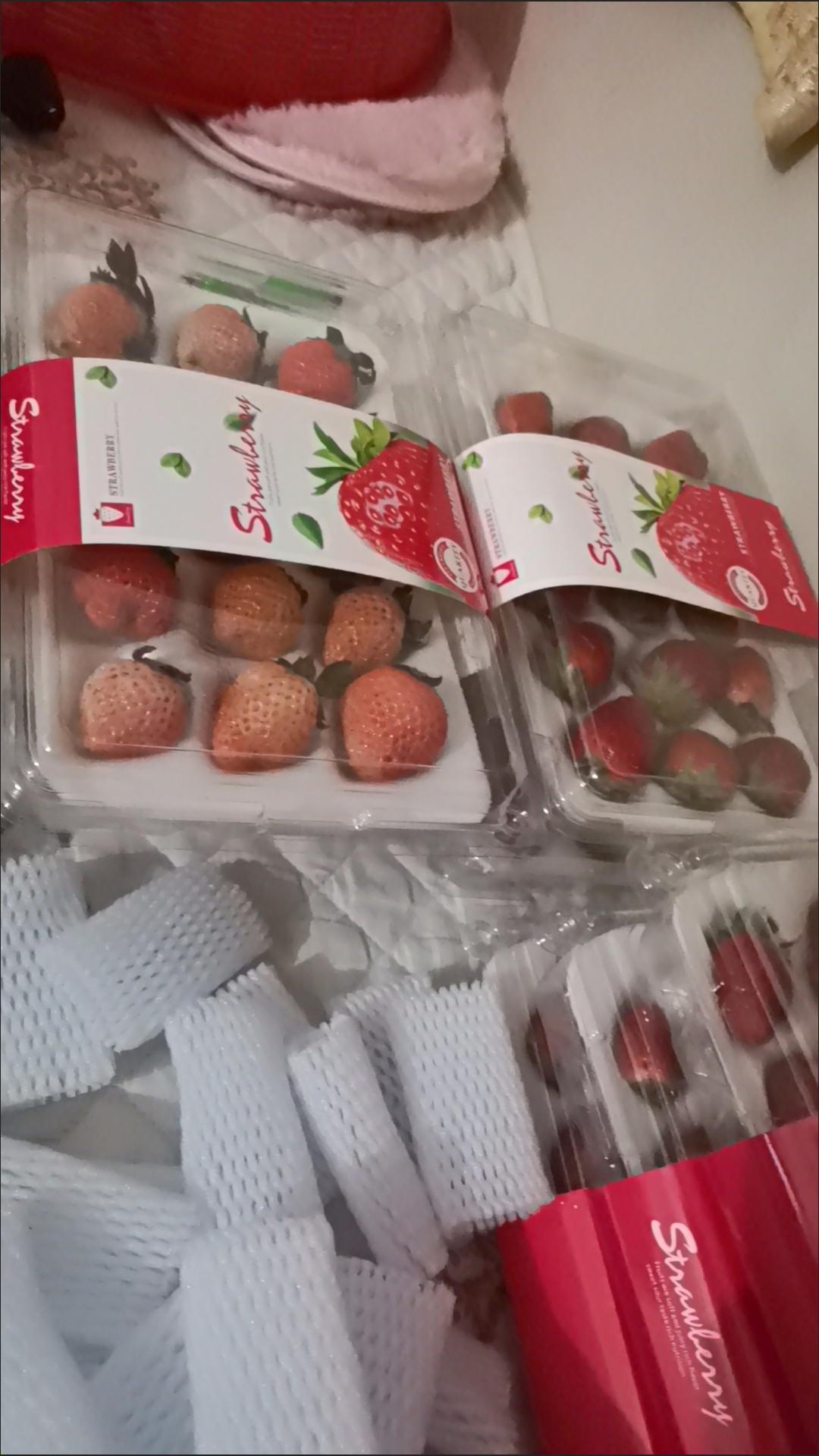 塑料筐 一次性草莓筐