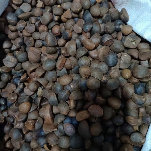 资溪县 纯山茶油