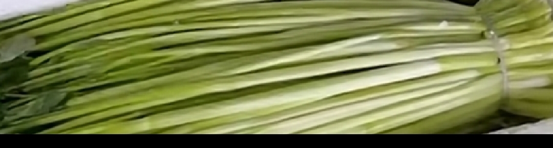 常州 水芹菜 时令蔬菜