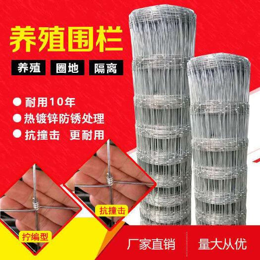 安平县电焊网 铁丝网热镀锌牛栏网养殖网钢丝网防护网护栏网养牛养羊果
