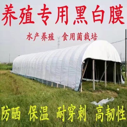 寿光市棚膜 养殖专用黑白膜 黑白超长寿防寒膜 保温耐穿刺 拉力好
