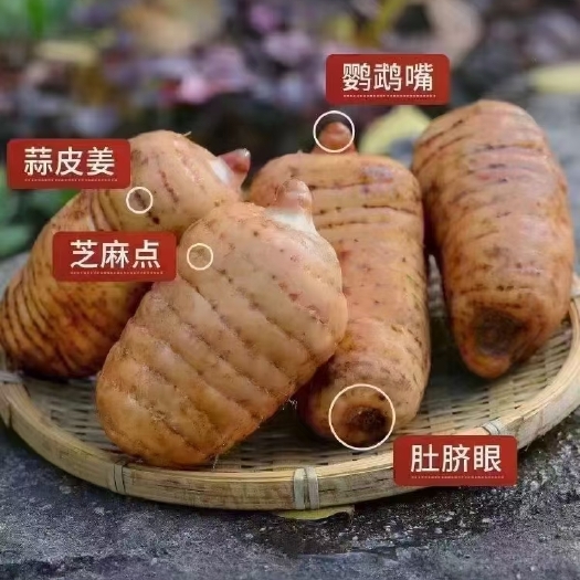 彝良县乌天麻 小草坝有机天麻