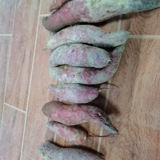 汕头 西瓜红蜜薯