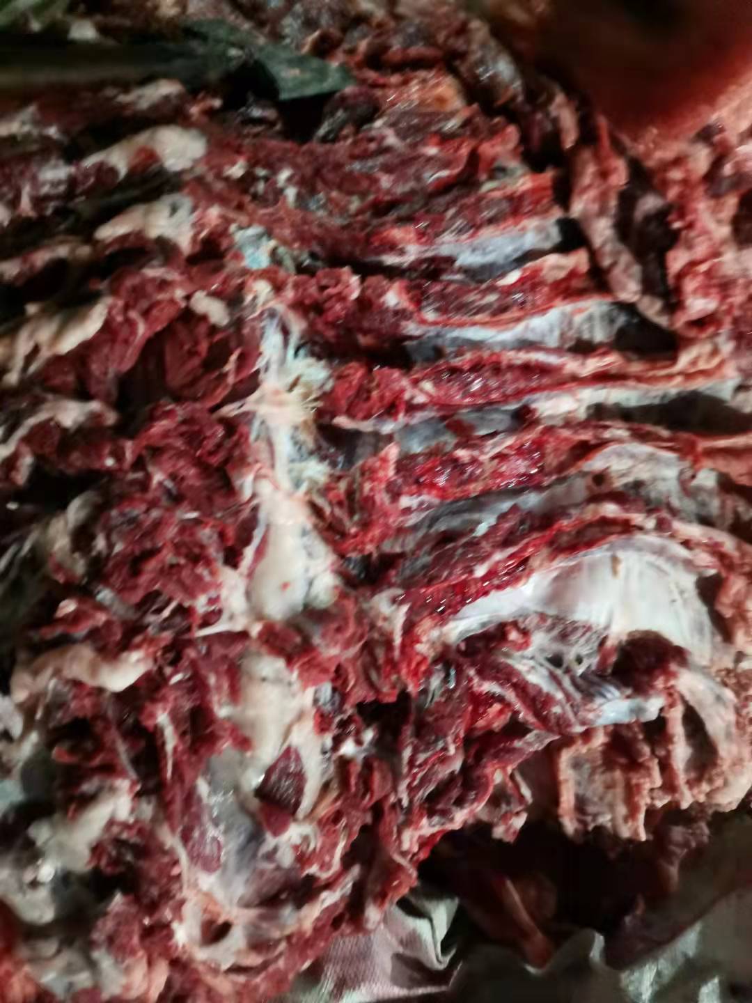 牛肉类 新鲜干牛肉