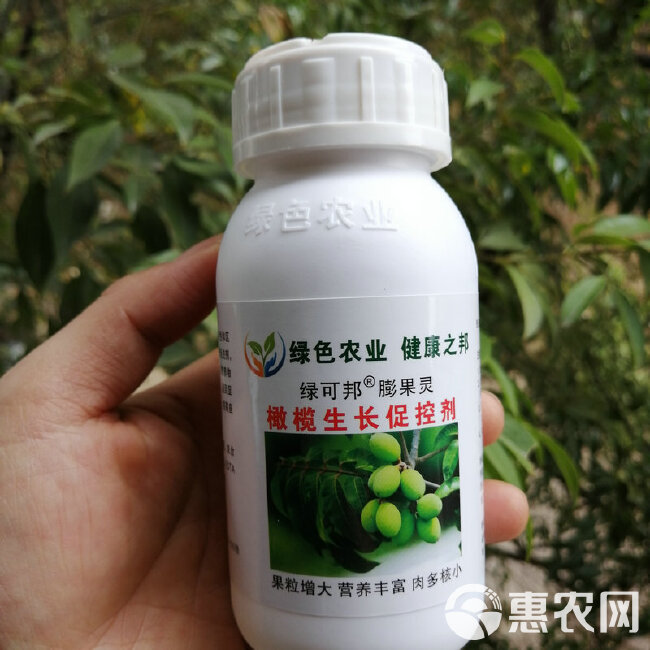 膨大素  果树生长调节剂绿可邦橄榄膨果灵膨大剂核桃榛子果粒增大肉多饱满