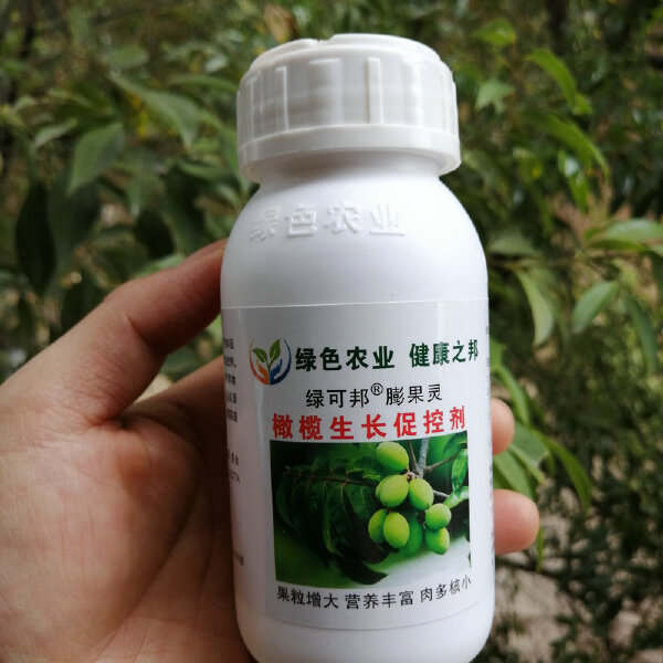 膨大素  果树生长调节剂绿可邦橄榄膨果灵膨大剂核桃榛子果粒增大肉多饱满