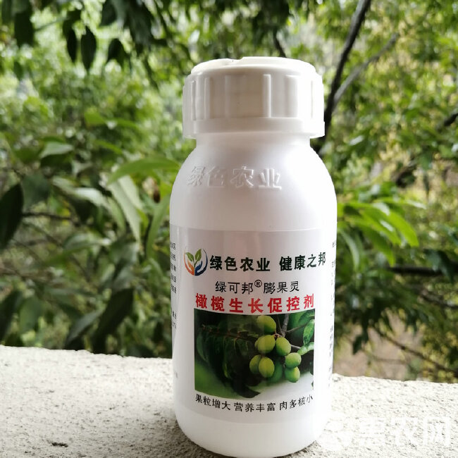 膨大素  果树生长调节剂绿可邦橄榄膨果灵膨大剂核桃榛子果粒增大肉多饱满