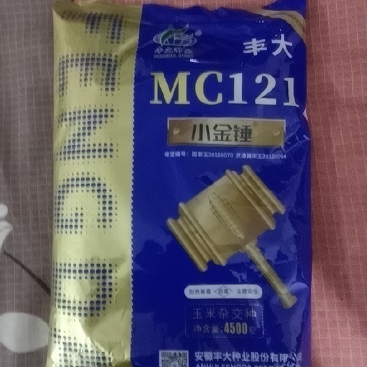 阜城县丰大MC121 超抗锈病，抗倒新品种