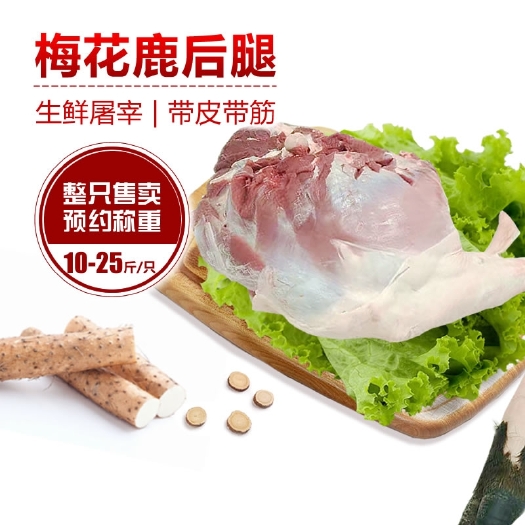 长春梅花鹿鹿大腿 鹿肉带皮带筋 整只大腿 也味十足