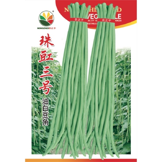 油豆角种子小叶多荚豇豆油白长豆角种子珠豇三号采收期长花籽