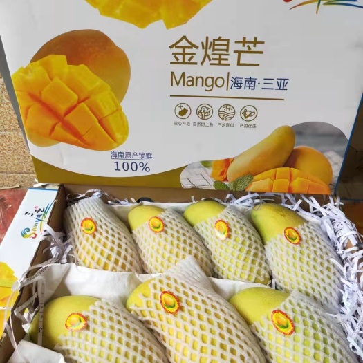三亚 海南三亚金煌芒