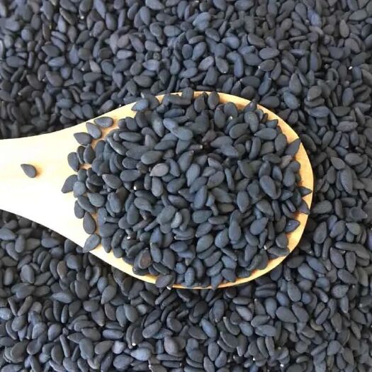 亳州新货黑芝麻生熟黑麻免洗干净无沙即食颗粒饱满无染色烘焙原料批发