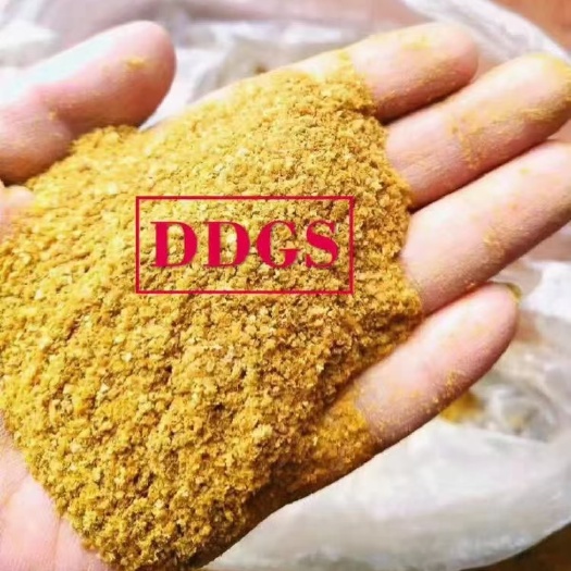 玉米蛋白饲料DDGS蛋白26-28脂肪2-8水分12