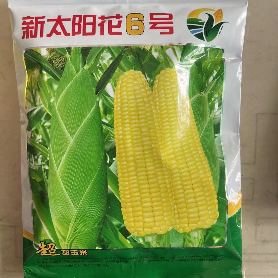 岳阳新甜玉6号玉米种子 新太阳花6号泰系甜玉米种子水果型棒大穗大