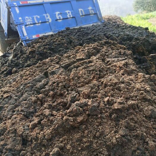 雷州市 大量廉价出售散装干猪粪