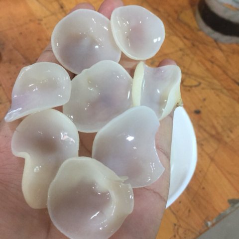 鄂伦春旗白玉木耳 东北大兴安岭特产小碗耳干货玉木耳白木耳干净无根50