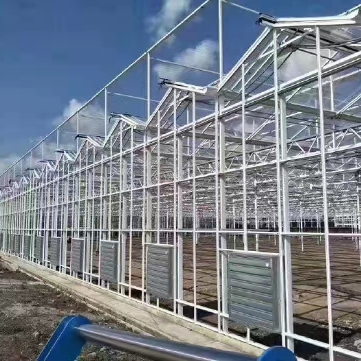 纹络大棚  玻璃温室大棚 财富只留给不断努力充实的人，只要加倍努力，梦想