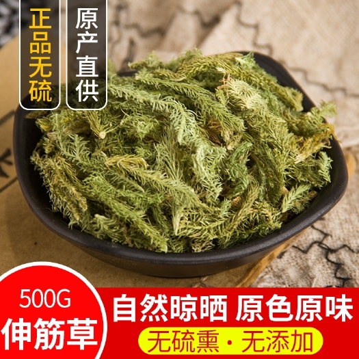 【优惠】马尾伸筋草伸筋草中药500克伸筋草透骨草中药材
