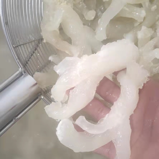 成都牛蹄筋  牛蹄主筋，副筋