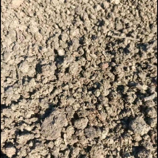 贵溪市晒干羊粪，存了一年的。要的速度。