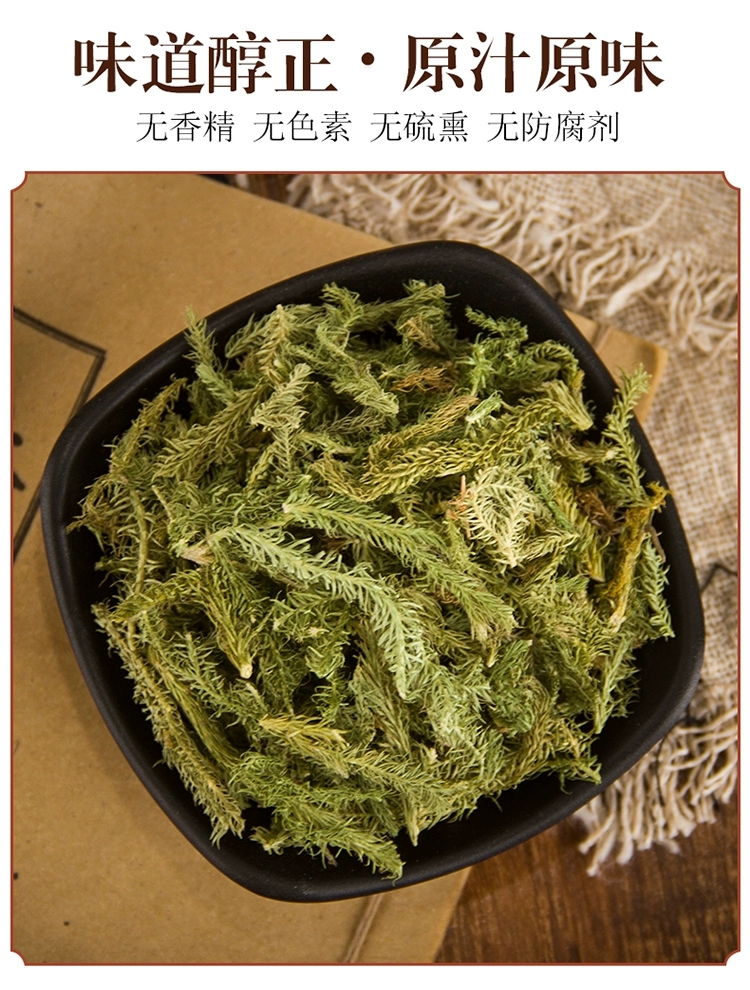 【优惠】马尾伸筋草伸筋草中药500克伸筋草透骨草中药材