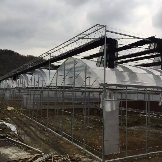 种植大棚 收购二手连栋大棚带外遮阳