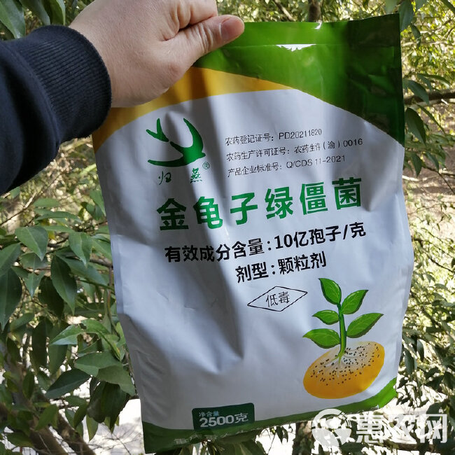 微生物菌剂 生物杀虫剂地下害虫专用金龟子绿僵菌颗粒剂生态农业专用