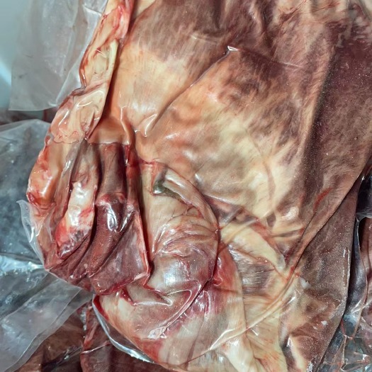 宁津县鲜马肉   马肉