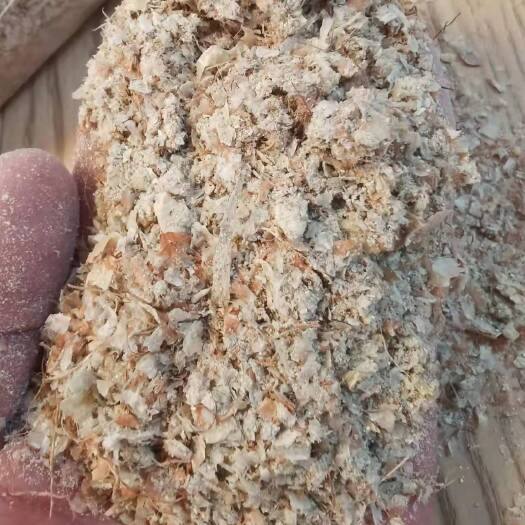 正定县糟渣类饲料  干玉米  东北优质玉米皮