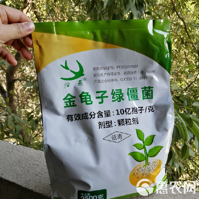 微生物菌剂 生物杀虫剂地下害虫专用金龟子绿僵菌颗粒剂生态农业专用