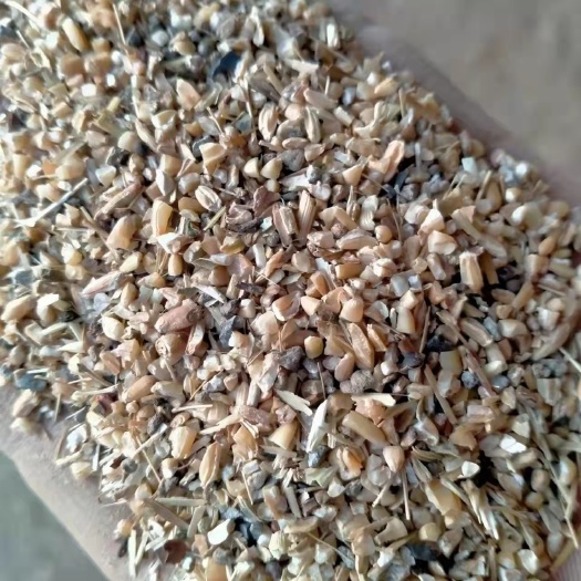 正定县 碎麦  碎小麦