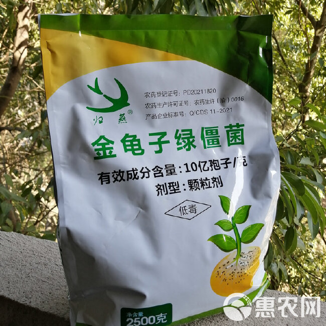 微生物菌剂 生物杀虫剂地下害虫专用金龟子绿僵菌颗粒剂生态农业专用