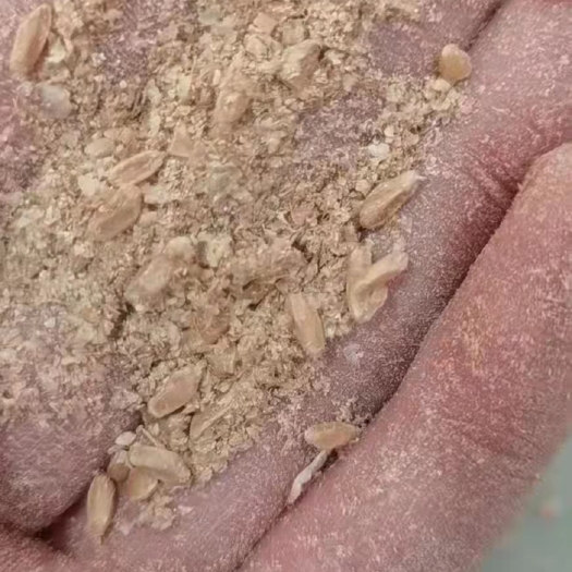 正定县小麦麸皮