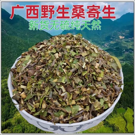 正品广西桑寄生中药材药用桑寄生干货泡酒煲汤泡水包邮批发
