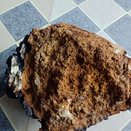 沁源县桦树茸
