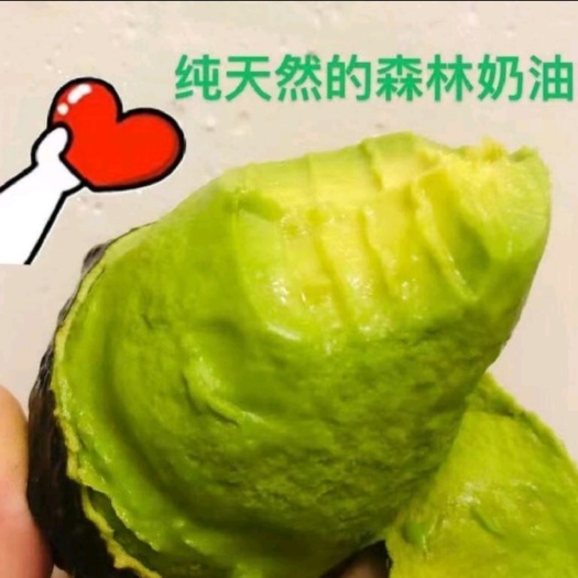 上海 墨西哥即食牛油果