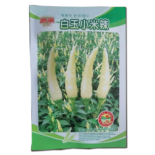 济南小米椒种子  白玉 朝天辣高产早熟 坐果强蔬菜泡椒籽盆栽种籽