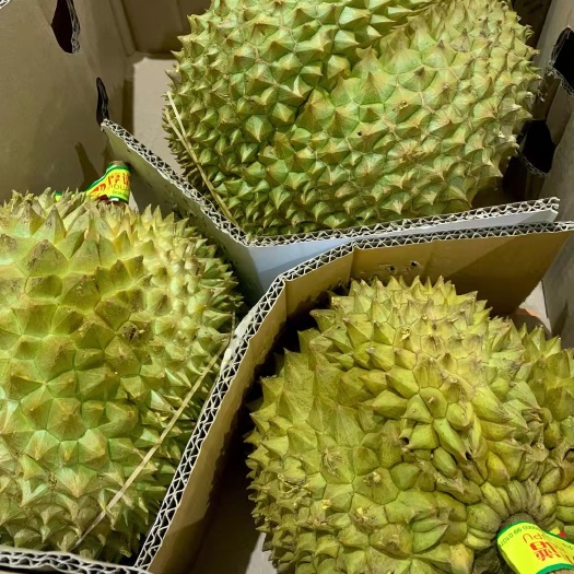   泰国金枕干尧榴莲空运基地直供