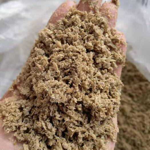 石家庄 吨包脱水啤酒糟  650蛋白30，脂肪11