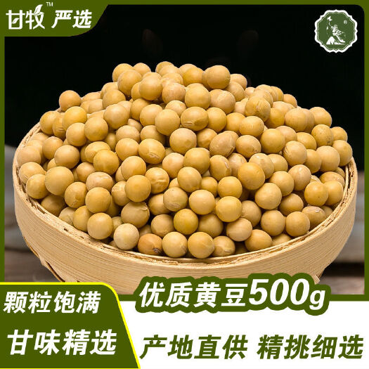 庆阳黄大豆 甘牧黄豆优质杂粮组合甘肃庆阳农家特产500g*3