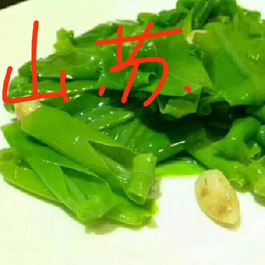 清远山苏菜 山苏口感爽脆 无喷农药  适合炒  烩 凉拌
