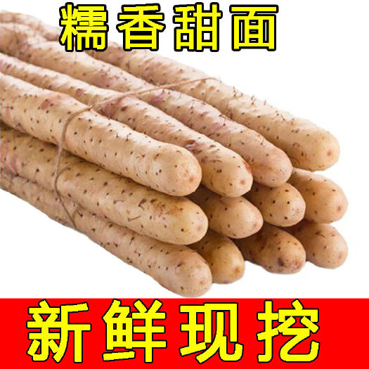 广州20斤粉糯铁棍山药淮山药小白嘴山药垆土铁棍多规格可选新
