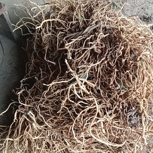 河池牛尾菜部分地区包邮