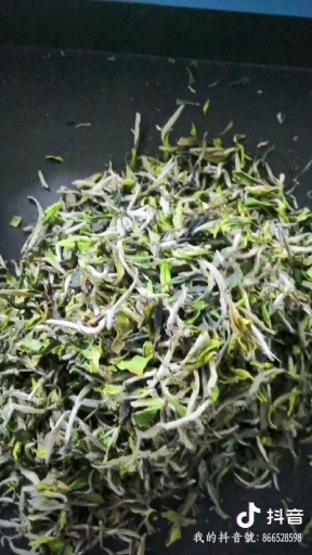 福鼎市白牡丹茶 福鼎白茶（牡丹王）